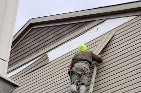 Best Vinyl Siding Installation  in San Jacinto, CA